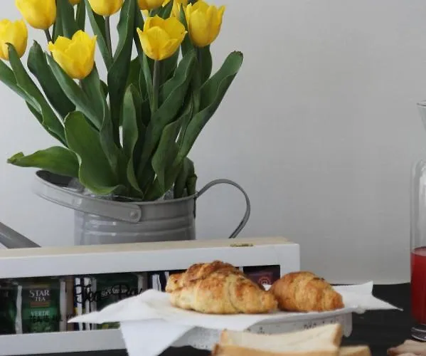 Presidente Porto Cesareo